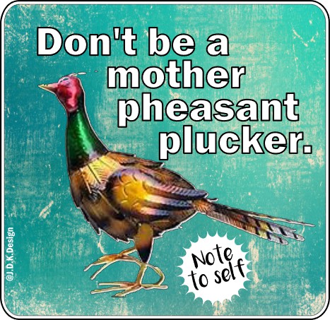 Don't be a mother pheasant plucker